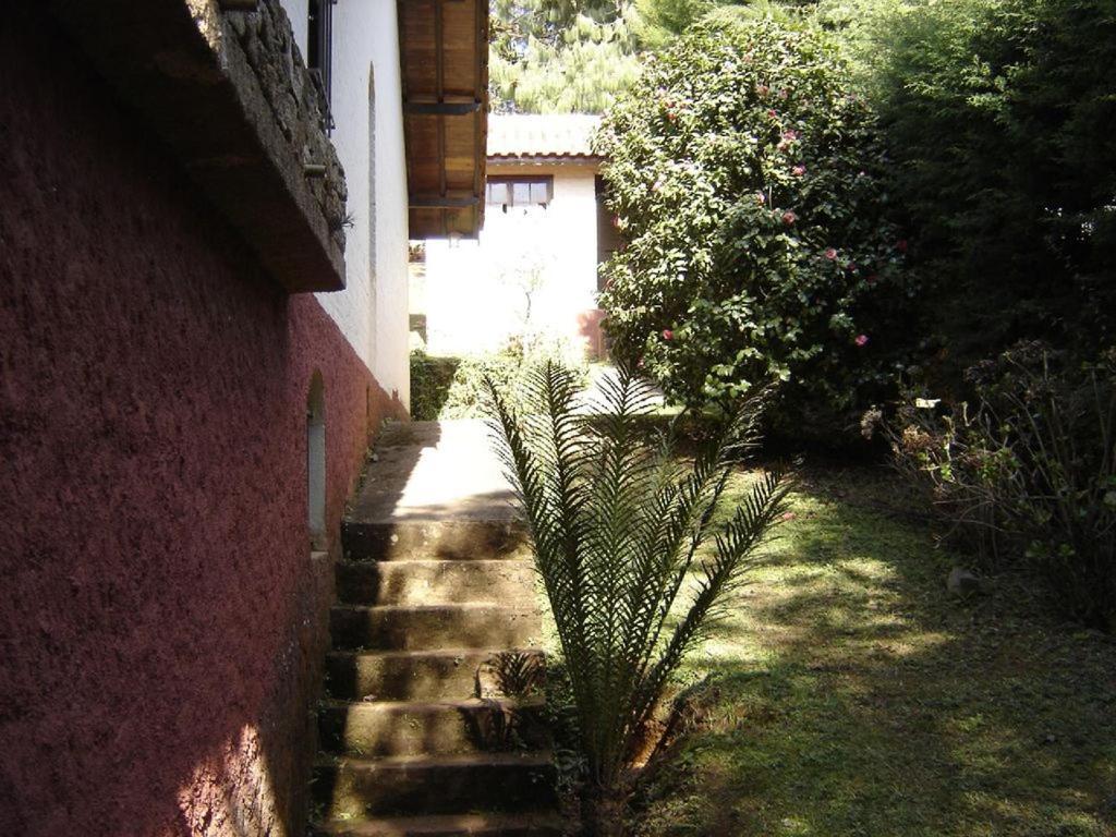 Casa Das Dalias Монти-Верди Экстерьер фото